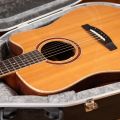 Lakewood D-53 Custom with Cutaway