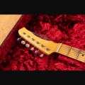 John Cruz Custom Guitar Crossville TL Premier Fifty