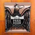 Ernie Ball Paradigm Phosphor Bronze 12-54