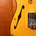 Fender CS Artisan Knotty Pine Tele Thinline AAA RW Aged Natural