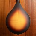 Eastman MD305E Sunburst