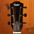 Taylor 217e-BLK Plus