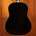 Taylor 217e-BLK Plus