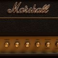Marshall 2245 JTM45 Head