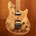 Peavey HP-2 Poplar Burl Series - Van Halen Natural - Floyd