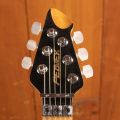 Peavey HP-2 Poplar Burl Series - Van Halen Trans Blue - Floyd