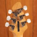Peavey HP-2 Poplar Burl Series - Van Halen Trans Blue - Floyd