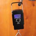 D'Angelico Excel DC Stopbar Solid Black