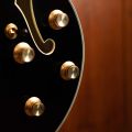 Eastman T59/TV-B Truetone Vintage Black LTD