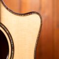 Taylor 914ce LTD Koa