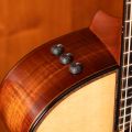 Taylor 914ce LTD Koa