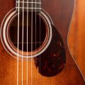 Eastman E1P Classic