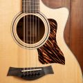 Taylor 354ce 12-String