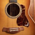 Taylor Gold Label 814e Rosewood Sunburst