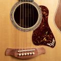 Taylor Gold Label 814e Koa