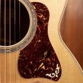 Taylor Gold Label 814e Koa