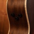 Fender Newporter Special Honey Burst