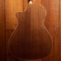 Fender Newporter Special Honey Burst