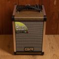 GR Guitar Acoustic 6 Natural Fiber Combo