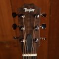 Taylor GS Mini-e Special Edition, Trans White
