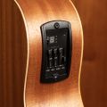 Taylor GS Mini-e Special Edition, Victorian Burst
