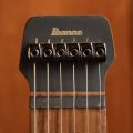 Ibanez Q52PB Antique Brown Stained