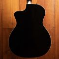 Taylor 214ce Special Edition Transparent Blue
