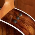 Taylor 214ce African Ziricote Plus Special Edition