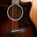 Taylor 524ce Builder's Edition