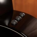 Taylor 524ce Builder's Edition