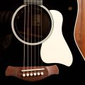 Taylor 717e Gold Label Blacktop