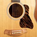 Taylor 517e Gold Label Natural