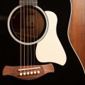 Taylor 517e Gold Label Blacktop