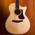 Eastman AC222CE-OV