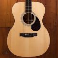 Eastman E10 OM
