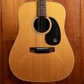 Epiphone FT-200 Frontier
