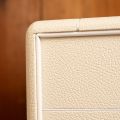 Marshall SV-20 + 2x12" cab "Kane - Dennis van Leeuwen" Signature Set