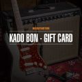 Max Guitar Gift Certificate, 200