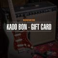 Max Guitar Gift Certificate, 100 Euro