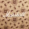 Marshall 1959 head + 1960 Cab - Kane Edition for Dennis van Leeuwen