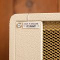 Marshall 1959 head + 1960 Cab - Kane Edition for Dennis van Leeuwen