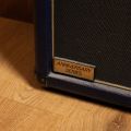Marshall 6101 30th Anniversary Combo + cabinet