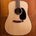 Martin D-21 Limited Edition