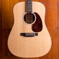 Martin D-10E