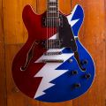 D'Angelico Premier Series DC Grateful Dead Model