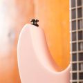 Peavey Vandenberg Signature Rock-it Pink 2024
