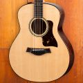 Taylor GTe, Urban Ash