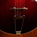 Gibson L4 Mahogany Sunburst (1920)