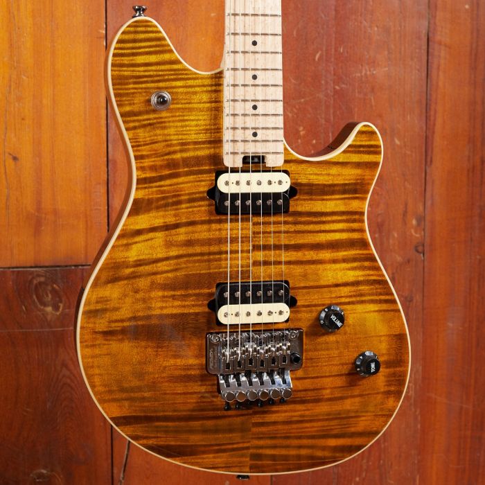 Peavey HP-2, Tiger Eye #00302 – Max Guitar