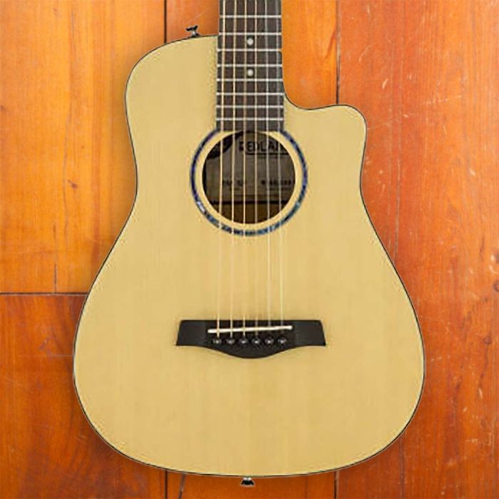 爆買い新作TRAVELER GUITAR REDLANDS MINI MAHO アコースティックギター 超美品 その他